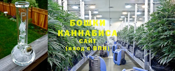 метадон Белокуриха
