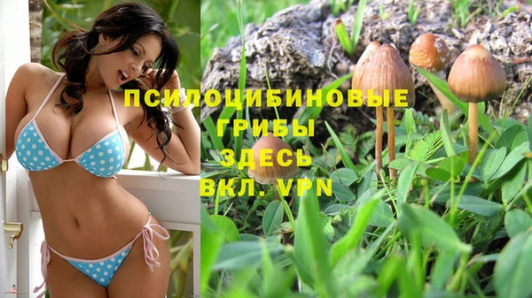 MDMA Premium VHQ Беломорск