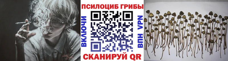 купить наркотики сайты  Велиж  Галлюциногенные грибы GOLDEN TEACHER 